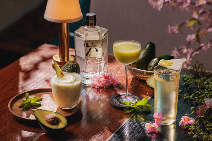Roku Gin-Shun—Cocktails (image supplied)