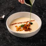 VUE—White Onion Veloute (image supplied)